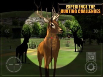 狙击手猎鹿v2.13截图3