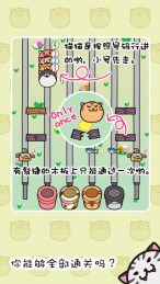 猫过马路v1.7截图1