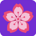 晓樱v1.8