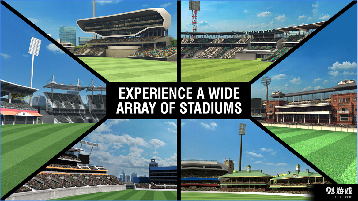 板球冠军赛2v2.3.10截图4