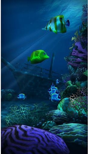 海底世界高清壁纸v1.16截图1