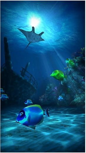 海底世界高清壁纸v1.16截图3