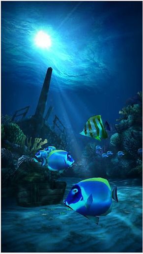 海底世界高清壁纸v1.16截图2