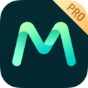 MshowProv1.3.9