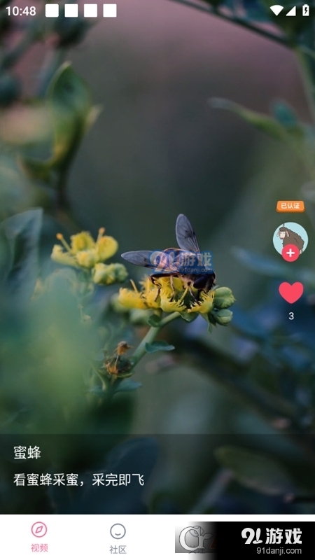 花谷视频红包v1.4.4截图4