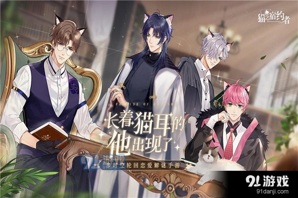 猫之宿约者新版本v0.0.22截图4