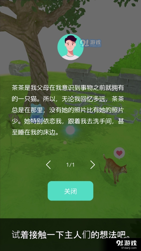 森林小岛-猫与神秘森林v1.1.6截图3