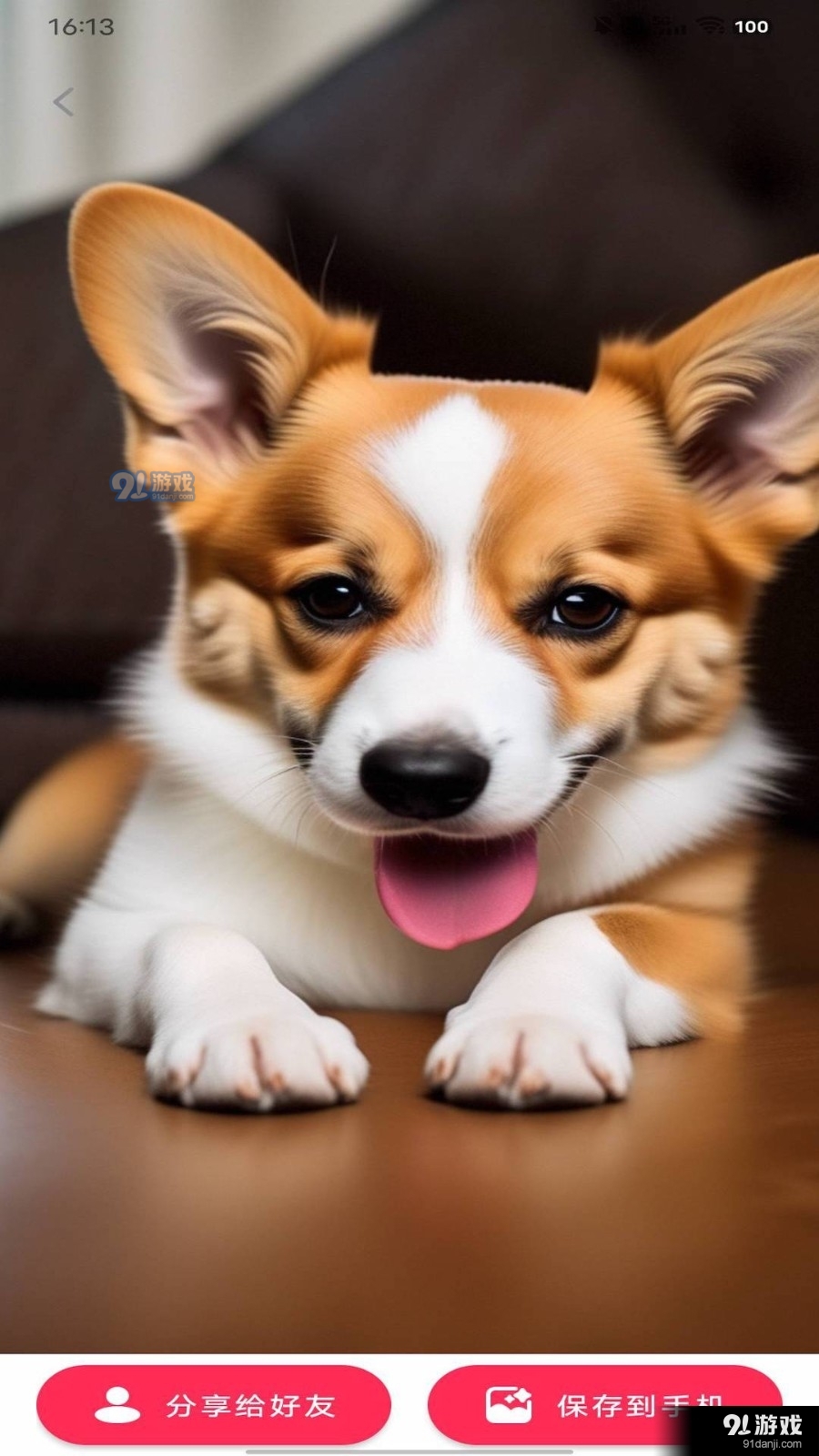 动态DIY壁纸v1.6截图1