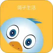 e修鸽老房翻新v3.4.7