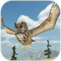 猫头鹰狩猎v1.7