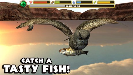 猫头鹰狩猎v1.7截图2
