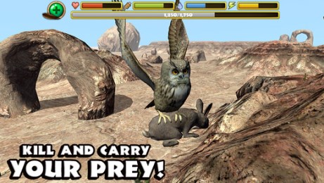 猫头鹰狩猎v1.7截图1