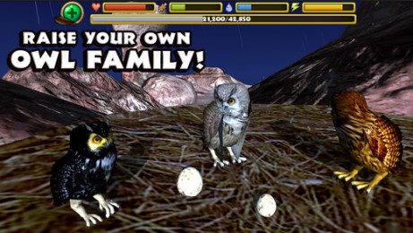 猫头鹰狩猎v1.7截图3