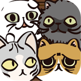 业务繁忙的丑猫轩v1.33