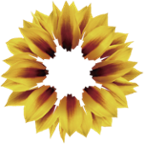 长沙金茂荟v2.5.5