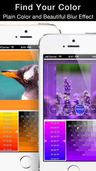 squareadyv1.8截图3