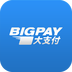 BigPayv1.14