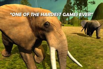 双象齐跑v1.3.6截图4