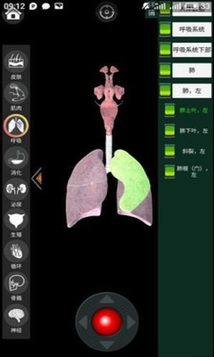 虚拟现实人体解剖v1.4截图2