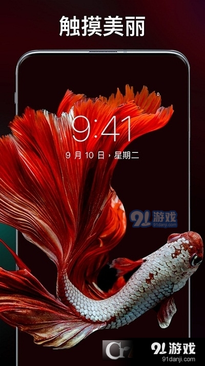 动态主题壁纸超清软件v1.3.4截图2