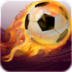 2014足球萌将v1.16