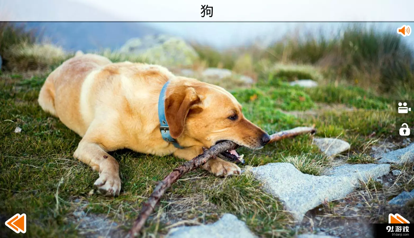 动物的叫声v4.9截图2