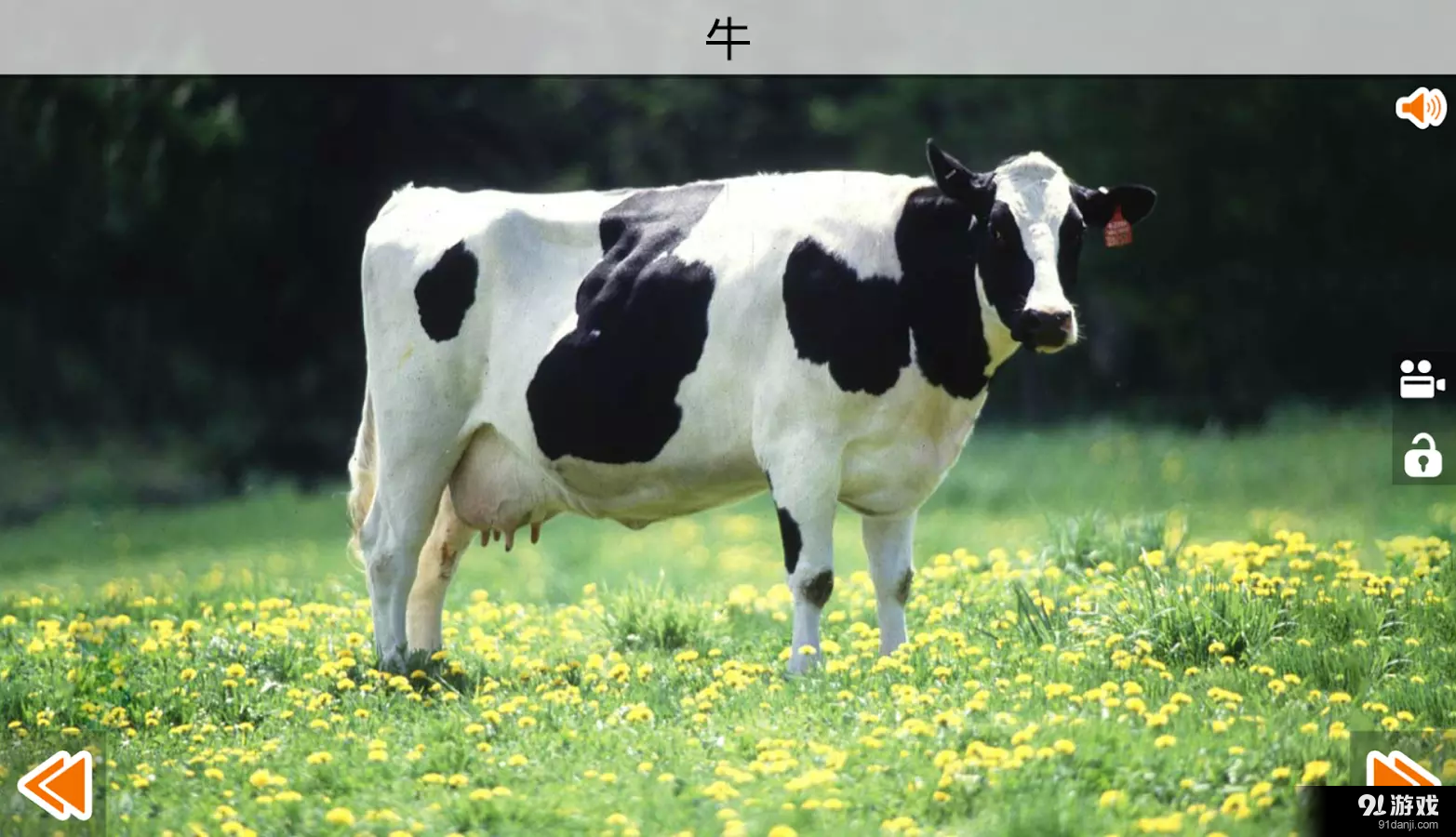 动物的叫声v4.9截图5