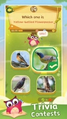 小鸟排序拼图v1.3.0.6截图2