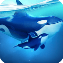 小小水世界安卓v3.3.6