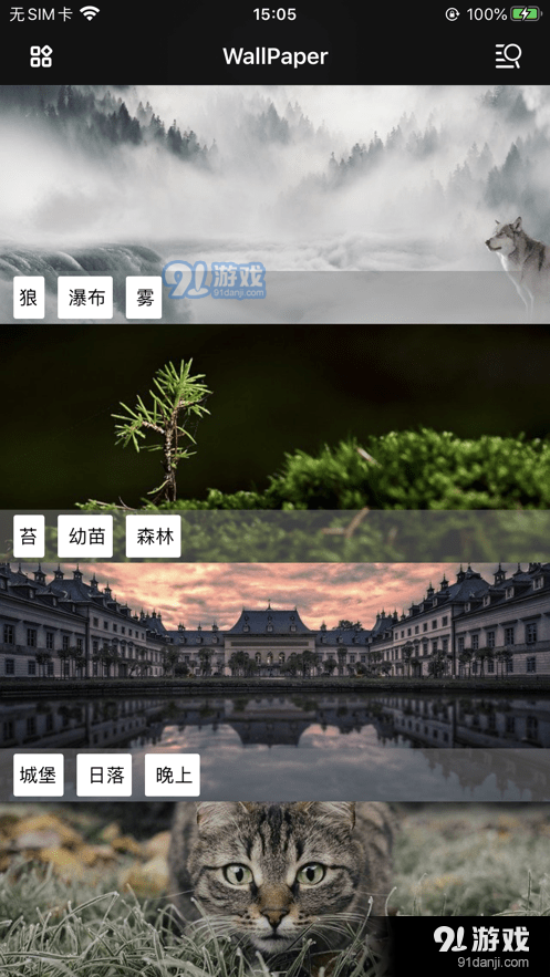 简单壁纸库v1.0.3截图3