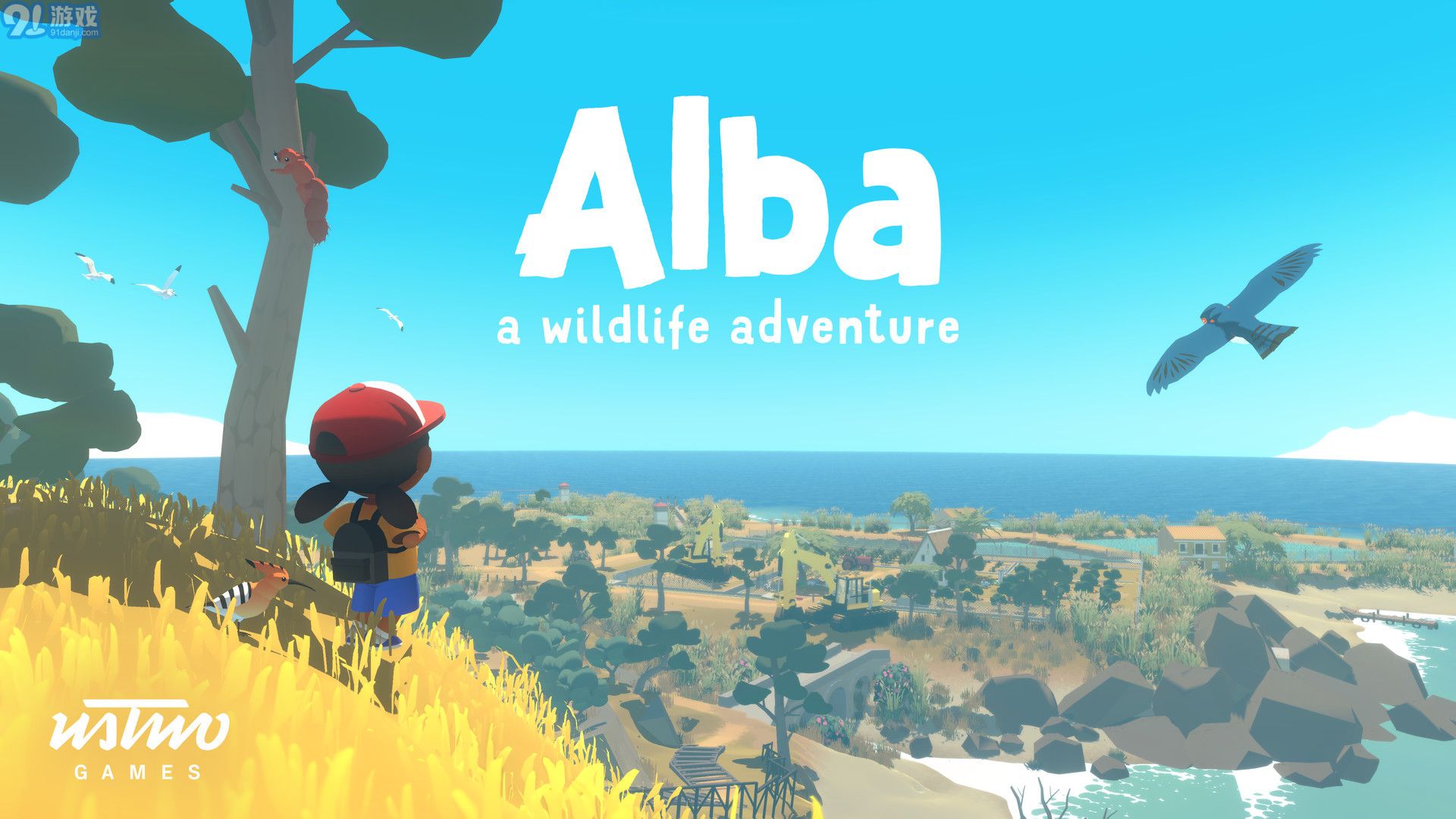 Alba A Wildlife Adventurev1.32截图1