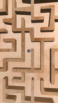 3D经典迷宫游戏v1.7截图5