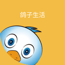 e修鸽老房翻新v3.1.7