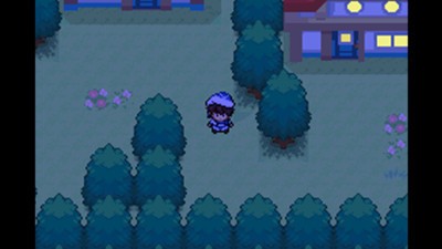 口袋妖怪失落的三国v1.6.7截图1