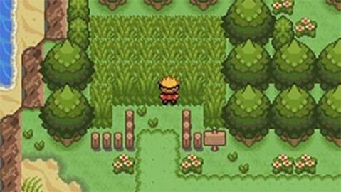 口袋妖怪釉色金手指v3.0.3截图3