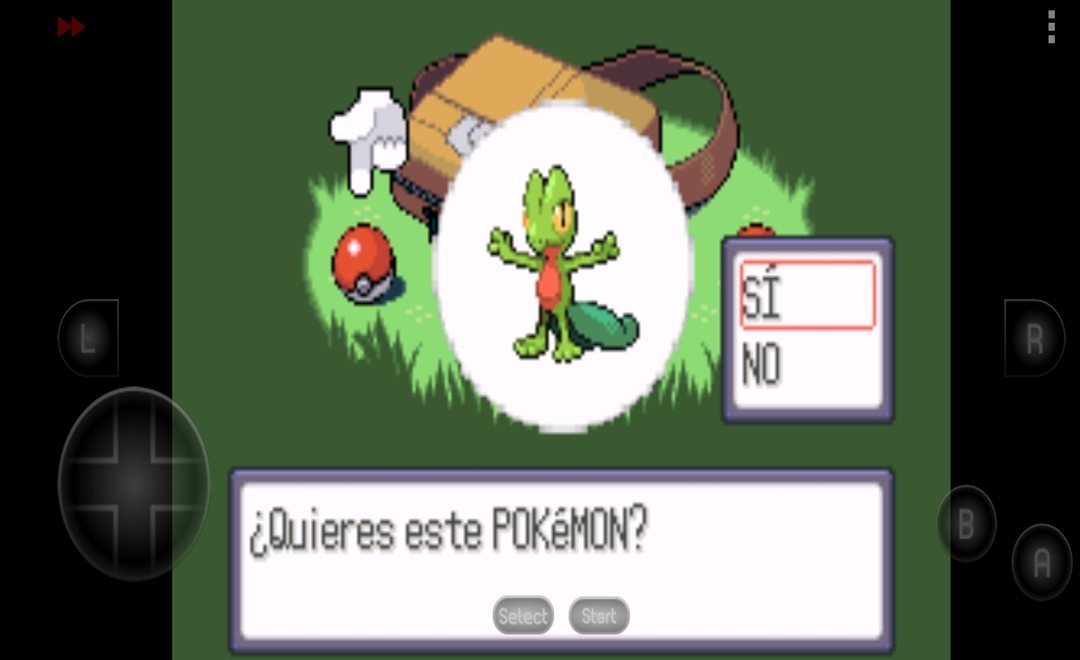 口袋妖怪红宝石中文版v3.0.3截图1