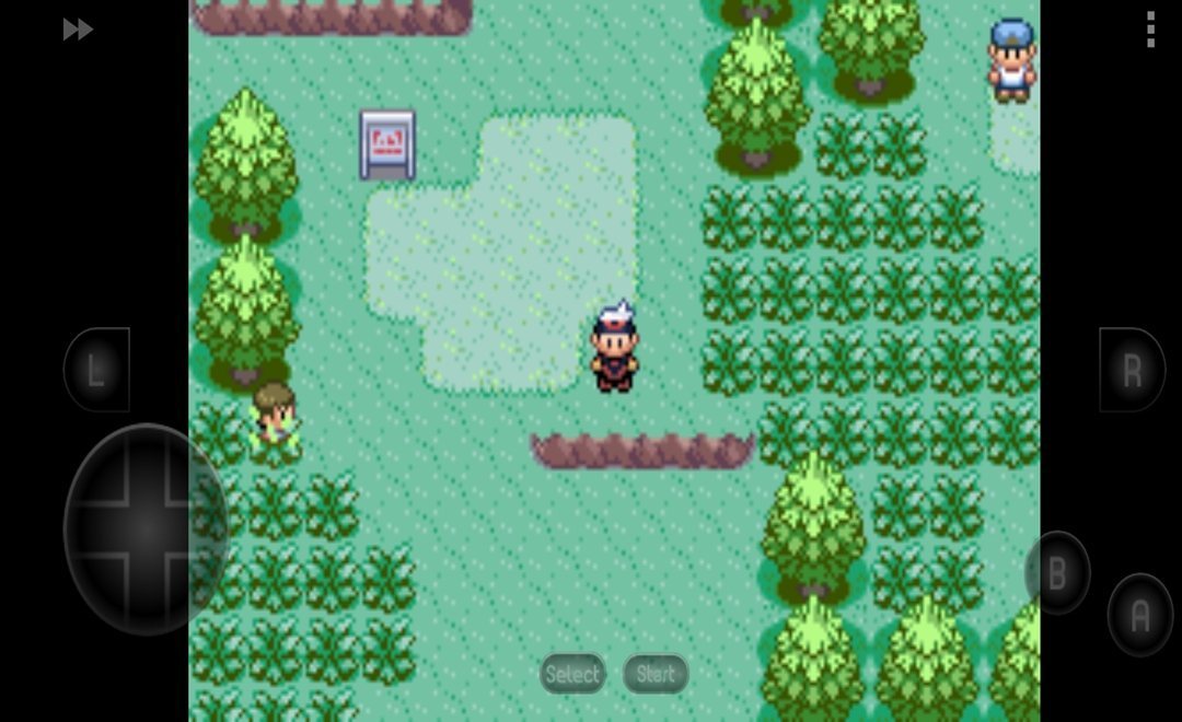 口袋妖怪红宝石中文版v3.0.3截图3