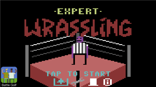 古怪的摔跤v3.5截图1