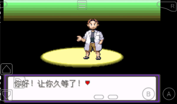 口袋妖怪漆黑的魅影v5.0v5.3截图3