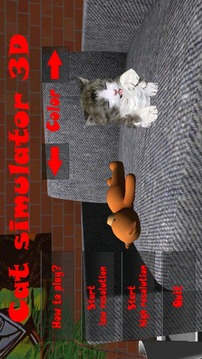 小猫模拟器v1.7截图1