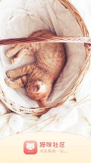 猫咪社区官网版v1.0.30截图3