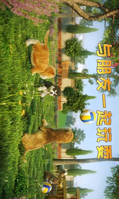 小猫历险记免费版v188.1.1.8截图4