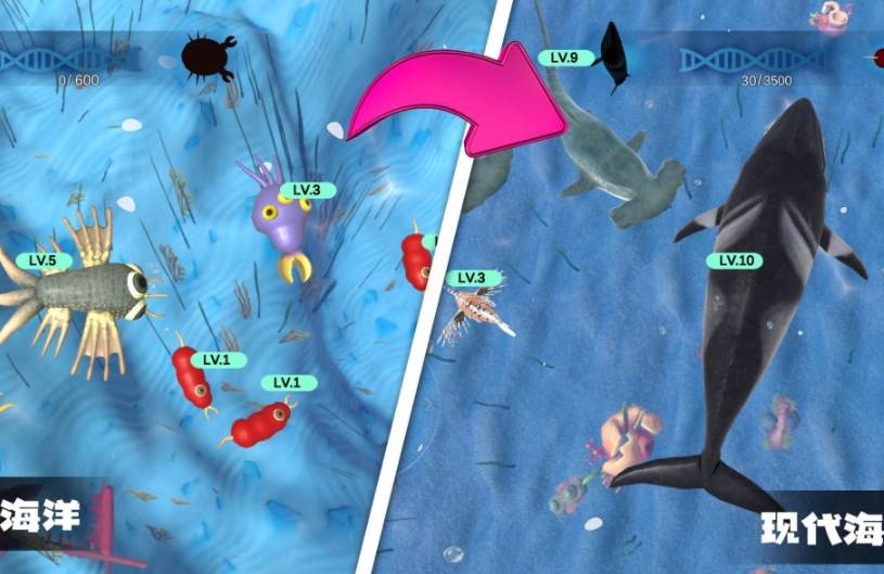 物种进化模拟器免费版v1.7截图5