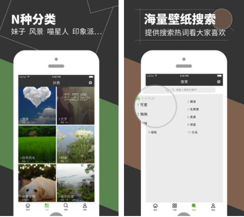 七天壁纸君官网版vV1.0.7截图1