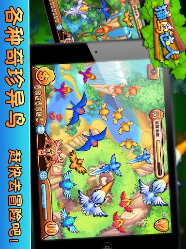 捕鸟达人手机版v2.0.10截图1