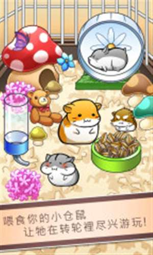 小仓鼠的生活v4.3.8截图2