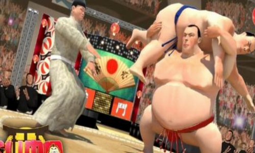 相扑摔跤官网版v1.6截图1