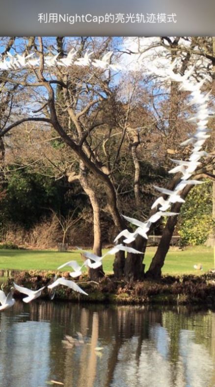 NightCap相机v9.12截图2