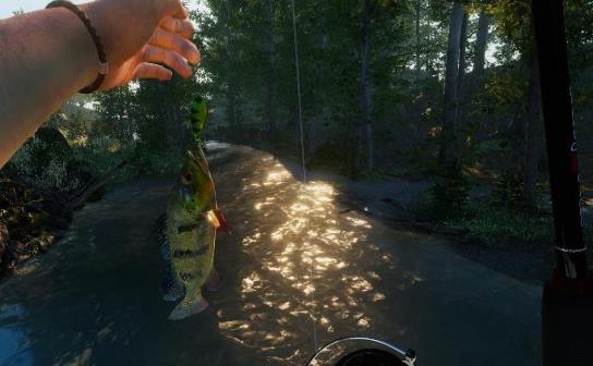 终极钓鱼模拟器免费版v1.5截图4