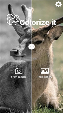 ColorizeItv1.1.15截图1